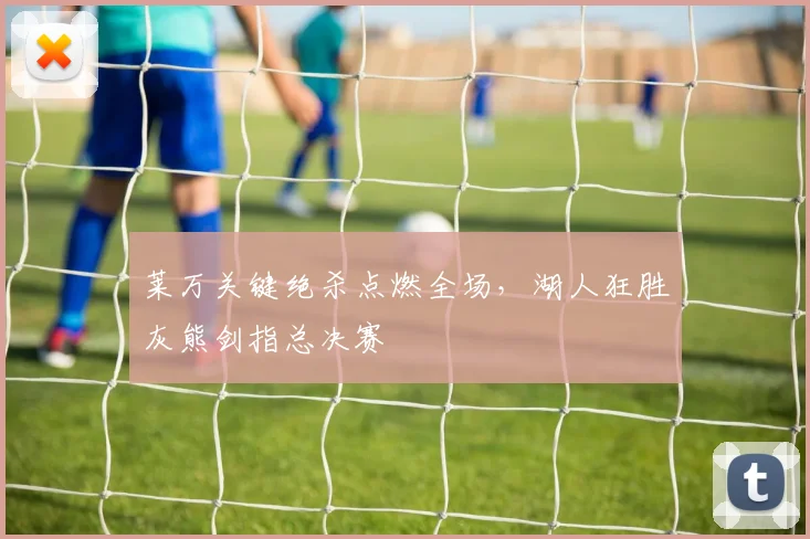 莱万关键绝杀点燃全场，湖人狂胜灰