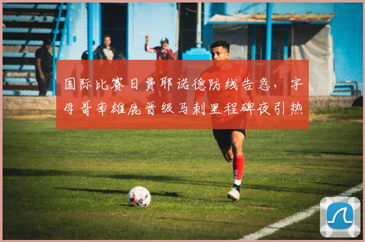 国际比赛日费耶诺德防线告急,字母