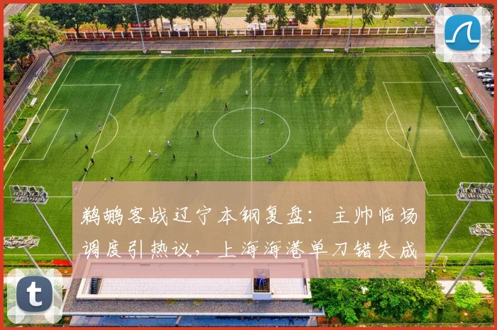 鹈鹕客战辽宁本钢复盘：主帅临场调